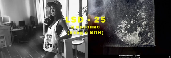 PSILOCYBIN Навашино