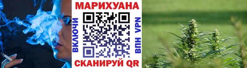 Бошки марихуана планчик Пойковский
